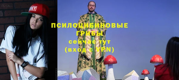 молекула духа Баксан
